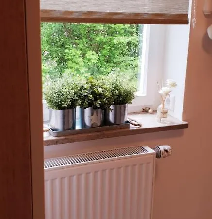 Cozy شقة