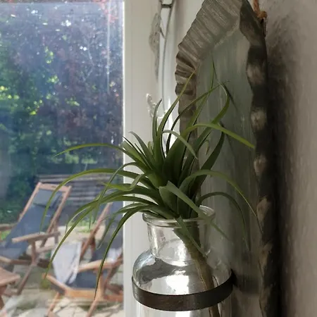 Cozy